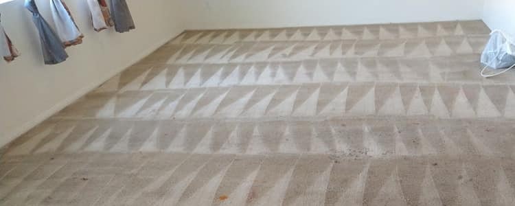 A guide for the carpet cleaning process