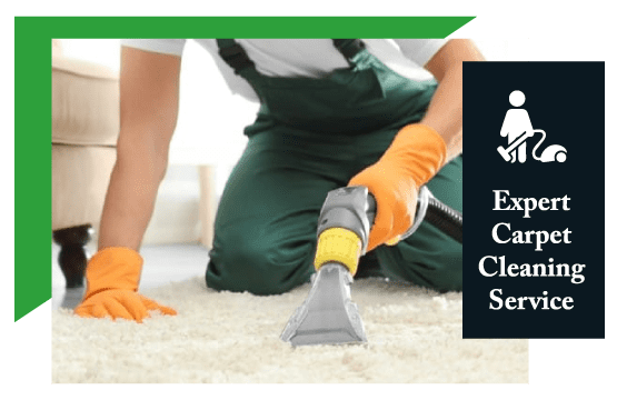 Best Carpet Cleaning Prahran