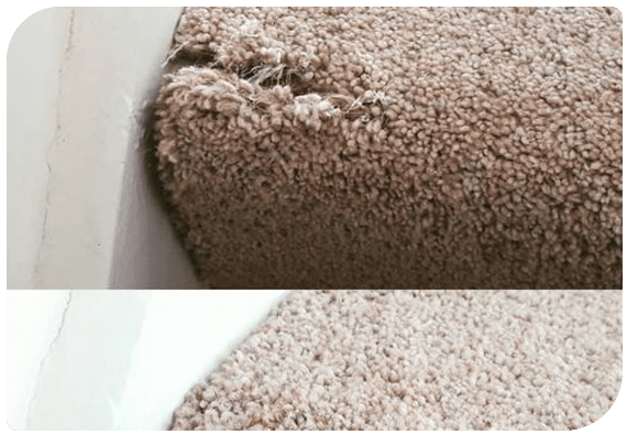 Carpet Repair Prahran